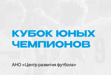 Кубок Юных Чемпионов СК «Чайка» 2013-2014 г.р.